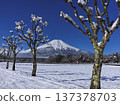Snowy morning scene 137378703