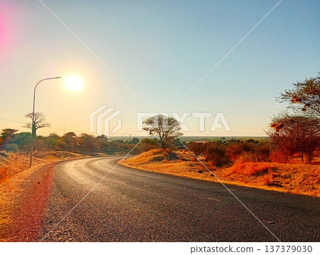 Chobe National Park, Botswana: Highway and baobab trees at dusk Chobe National Park, Botswana: Highway and baobab trees at dusk 137379030
