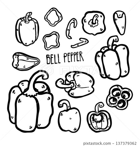 Hand drawn doodle bell pepper illustration. Whole bell pepper and sliced pieces isolated on white background. Simple outline drawing suitable for food design, packaging, branding, prints, menus, and 137379362