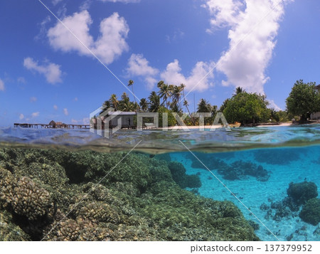 Beautiful half-submerged lagoon and coral scenery in Fakarava, Tahiti Beautiful half-submerged lagoon and coral scenery in Fakarava, Tahiti 137379952