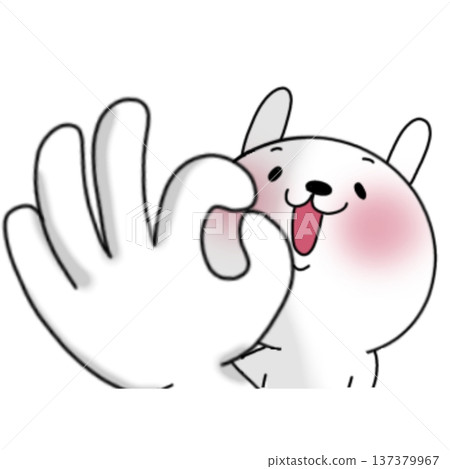 Rabbit making an OK sign Rabbit making an OK sign 137379967