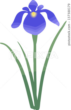 鳶尾花插圖（單朵）| 日式向量素材，適合初夏和男孩節 137380179