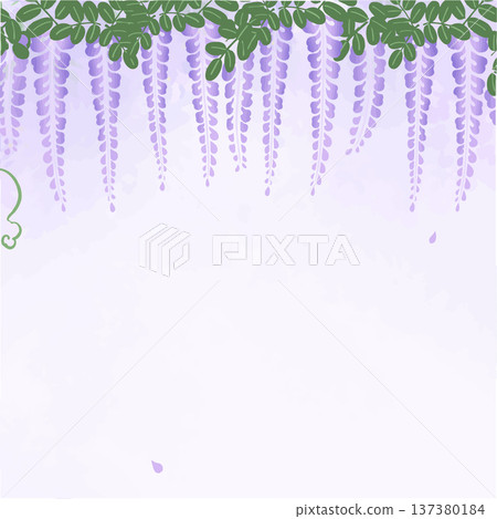 紫藤方形背景插圖 | 春季日式扁平向量圖，懸掛於上方 137380184