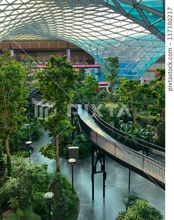 A plant-lined walkway at Hamad International Airport A plant-lined walkway at Hamad International Airport 137380217
