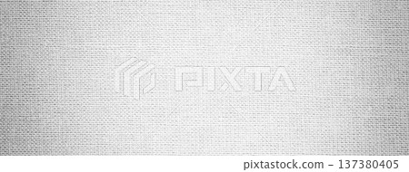 Texture light gray textile material background, macro weave pattern. Structure ivory fabric backdrop with vignette Texture light gray textile material background, macro weave pattern. Structure ivory fabric backdrop with vignette 137380405