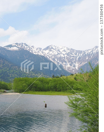 Kamikochi: Beautiful scenery of fresh greenery and remaining snow on Taisho Pond on a cloudy day in May Kamikochi: Beautiful scenery of fresh greenery and remaining snow on Taisho Pond on a cloudy day in May 137380456
