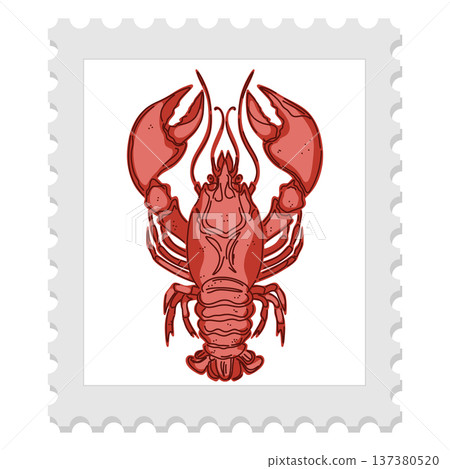 vector illustration of shrimp 137380520
