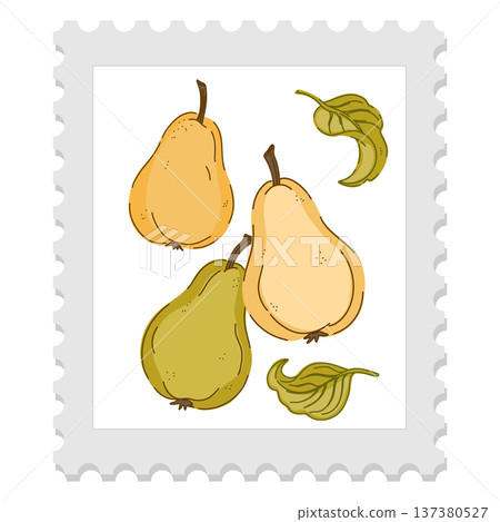 vector illustration of a whole and half of pear 137380527