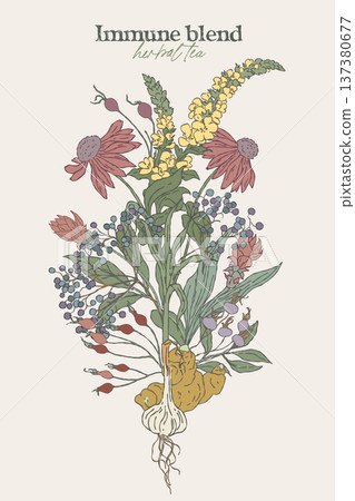 botanical bouquet featuring immune herbal blend botanical bouquet featuring immune herbal blend 137380677
