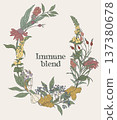 Hand drawn oval wreath made of immune tea 137380678