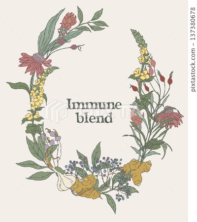 Hand drawn oval wreath made of immune tea Hand drawn oval wreath made of immune tea 137380678
