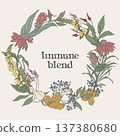 Hand drawn round wreath made of immune tea 137380680