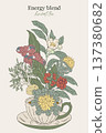 Hand drawn illustration of energy herbal blend  137380682