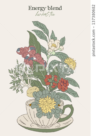 Hand drawn illustration of energy herbal blend Hand drawn illustration of energy herbal blend 137380682