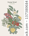 botanical bouquet featuring energy herbal blend. 137380684