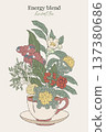 Hand drawn illustration of energy herbal blend 137380686