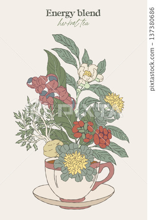 Hand drawn illustration of energy herbal blend Hand drawn illustration of energy herbal blend 137380686