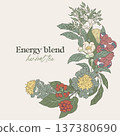 Hand drawn wreath with energy tea medicinal plants 137380690