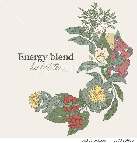 Hand drawn wreath with energy tea medicinal plants 137380690
