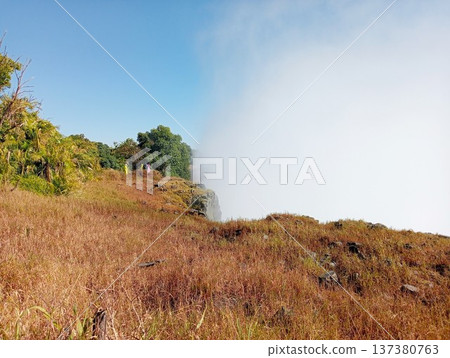 The mist of Victoria Falls seen from the grassland (Zimbabwe) 2 137380763