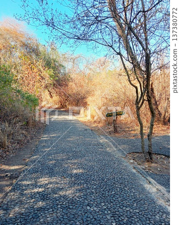 Victoria Falls National Park trail (Zimbabwe) Victoria Falls National Park trail (Zimbabwe) 137380772