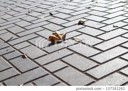 Dry yellow leaves are scattered across a stone pavement. Dry yellow leaves are scattered across a stone pavement. 137381262