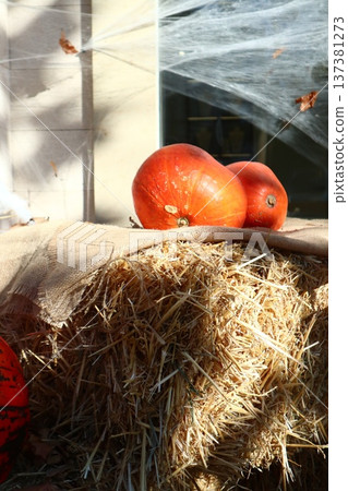 Decorating shop windows with pumpkin and straw. 137381273