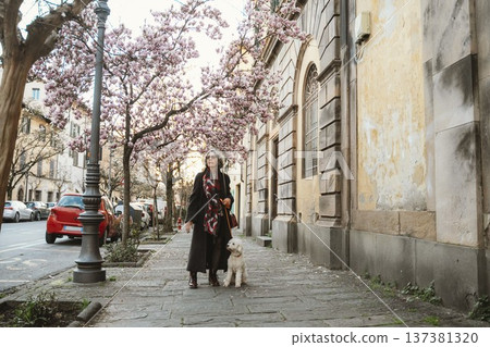 Woman walking her dog along a charming street lined with blooming cherry trees. Tranquil urban environment with vintage architecture, capturing the essence of springtime serenity. Part of series Woman walking her dog along a charming street lined with blooming cherry trees. Tranquil urban environment with vintage architecture, capturing the essence of springtime serenity. Part of series 137381320