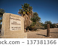 Bir Wahed protected area near Siwa Oasis 137381366