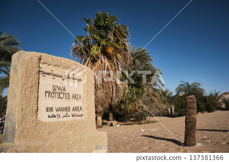 Bir Wahed protected area near Siwa Oasis Bir Wahed protected area near Siwa Oasis 137381366