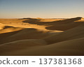 Golden Sand Dunes in Desert Landscape at Sunset 137381368