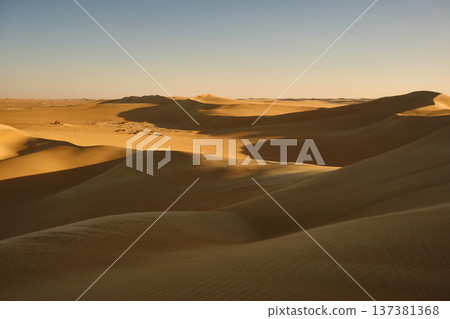 Golden Sand Dunes in Desert Landscape at Sunset Golden Sand Dunes in Desert Landscape at Sunset 137381368