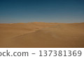 Sand dunes in desert 137381369