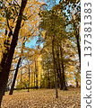 A park with beautiful autumn leaves 137381383