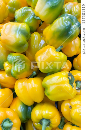 Background of fresh yellow and green bell peppers. Ripe organic vegetables at a local food market. 137381519