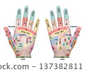 3D illustration of acupressure points on the palm of a woman's hands 137382811