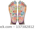 3D illustration of acupressure points on the soles of the feet of a woman 137382812