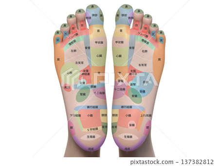 3D illustration of acupressure points on the soles of the feet of a woman 137382812