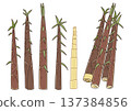 A simple illustration set of bamboo shoots that have grown long and tall 137384856