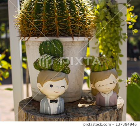 Prickly pear cacti in cute little pots, a boy and a girl, symbolizing relationships and love. Cute background. Prickly pear cacti in cute little pots, a boy and a girl, symbolizing relationships and love. Cute background. 137384946