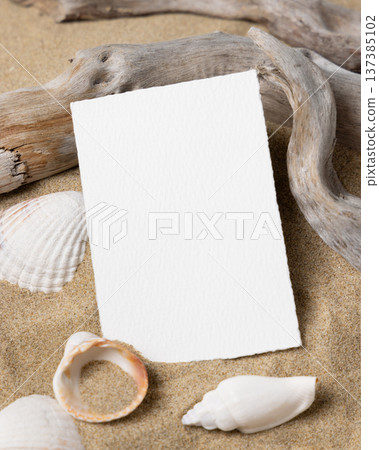 Mockup of blank card on beige sand with seashells, template for beach wedding and event graphics 137385102