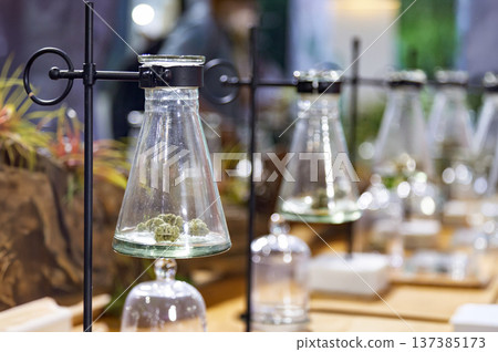cannabis buds in a clear glass jar on a counter at a modern dispensary or cafe, with people sitting in a blurred background. Perfect for lifestyle and retail themes 137385173