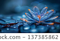 Close up of blue lotus with dewdrops on blurred background 137385862