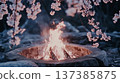Enchanting spring night campfire surrounded by blossoming cherry tree branches 137385875
