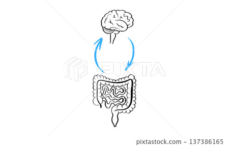 Gut Brain Connection Gut Brain Connection 137386165