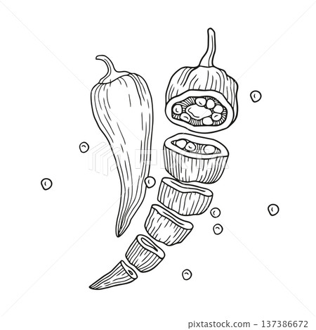 Hand-drawn sliced fresh chili pepper and chili seeds composition in graphic sketch style for ingredients or product design Hand-drawn sliced fresh chili pepper and chili seeds composition in graphic sketch style for ingredients or product design 137386672