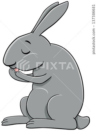cartoon gray miniature rabbit animal character washing itself 137386681