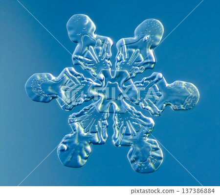 Natural snowflake crystal in blue background 137386884