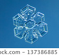Natural snowflake crystal in blue background 137386885