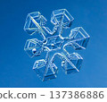 Natural snowflake crystal in blue background 137386886